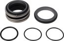 SERVICE KIT SEAL S1 - Ø45 SIC/SIC EPDM