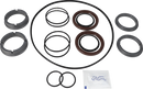 SERVICE KIT DURACIRC - 52/53/54 FLUSHED SEAL SIC/SIC FPM