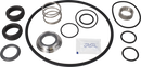 SERVICE KIT EPDM LKH-20 C/SIC - DOUBLE MECHANICAL SHAFT SEAL AND IMPELLER SCREW