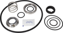 SERVICE KIT EPDM LKH-20 C/SIC - FLUSHED SHAFT SEAL AND IMPELLER SCREW