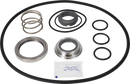 SERVICE KIT EPDM LKH-40/50/60 - SIC/SIC FLUSHED SHAFT SEAL AND IMPELLER SCREW
