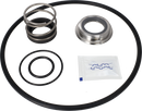 SERVICE KIT NBR LKH-20 C/SIC - SINGLE SHAFT SEAL AND IMPELLER SCREW