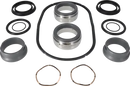 pumps-service-kit-sx1sx-ultrapure-1-r00-sicsic-fpm-usp-vi-9630880606-content_medium.webp