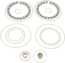 MINOR SERVICE KIT SANIJET 25 - FFKM STAINLESS Q-DOC (USP)