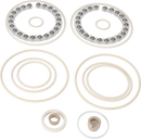 MINOR SERVICE KIT SANIJET 25 - FFKM SUPER DUPLEX Q-DOC (USP)