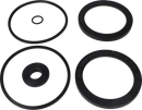 SERVICE KIT EPDM C/O SPECIAL - LIP SEAL  101.6/NW100
