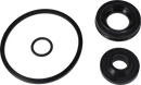 SERVICE KIT EPDM O/O SPECIAL - LIP SEAL  38/NW40